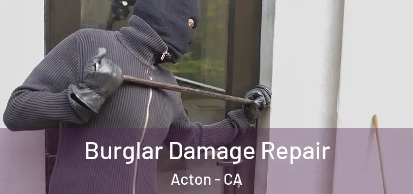  Burglar Damage Repair Acton - CA