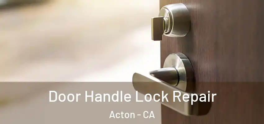  Door Handle Lock Repair Acton - CA