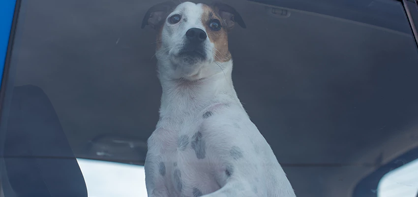 Car Lockout Solutions in Acton, California