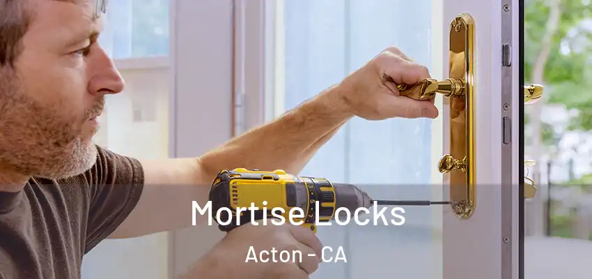  Mortise Locks Acton - CA